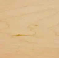 Canadian Maple (Natural and Prime) Canadian Maple (Natural and Prime)