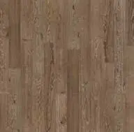 Kavir Oak Kavir Oak