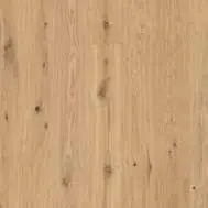 Elysian Oak Elysian Oak